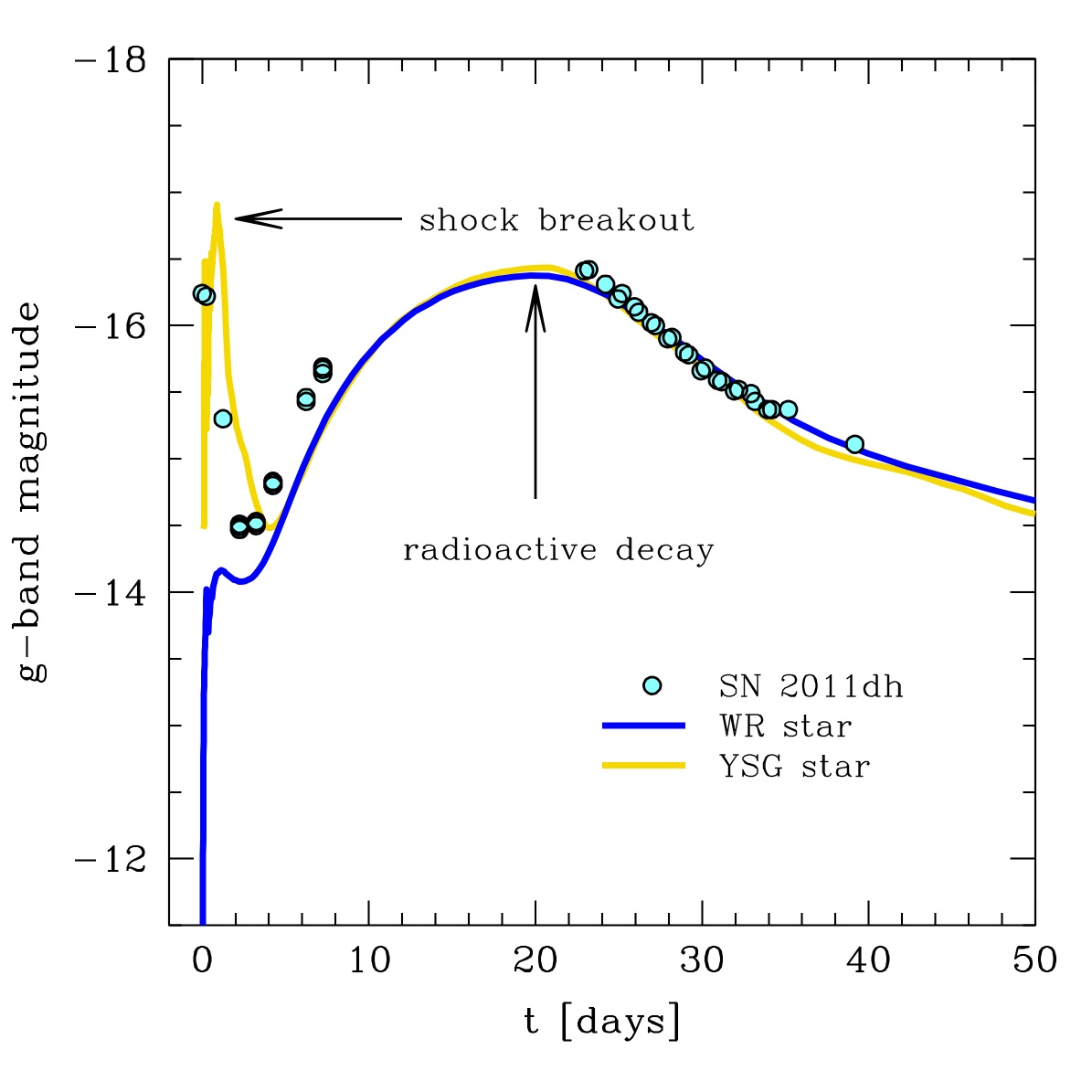 図3: 爆発前の星が黄色超巨星の場合（黄線）および青色コンパクト星の場合（青線）の理論計算による光度曲線。SN2011dhの観測データを水色の点で重ねた。黄色超巨星と考えた場合のみ理論曲線が観測結果をよく再現する。