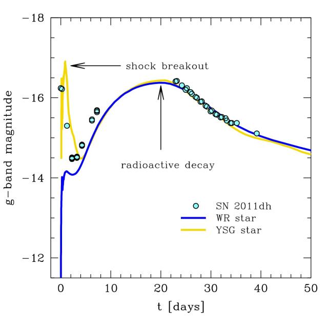 Figure 3: Theoretical light curve for a yellow supergiant (yellow) and blue compact (blue) progenitor compared with the observations of SN 2011dh (cyan points). From the figure it is clear that the progenitor of SN 2011dh needs to be a yellow supergiant in order to reproduce the observation.