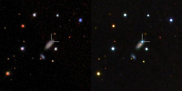 Left: Host galaxy of PTF11kx before the  supernova exploded as seen from the Sloan Digital Sky Survey. Right:  the blue dot is the supernova near peak brightness as seen with LCOGT&rsquo;s  Faulkes Telescope North. The supernova is 600 million lightyears away in  the constellation Lynx. Credit: B.J. Fulton,  LCOGT