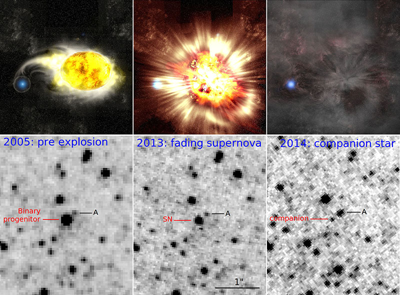 Figure 2: Images showing the supernova explosion process. Images in the top row depict an artist&rsquo;s conception of the supernova explosion process. The corresponding images below were taken with the Hubble Space Telescope. Left: Just before the supernova explosion. A yellow supergiant is shining. Middle: The supernova exploding (the bottom image shows the fading supernova after the explosion). Right: A bright blue star observed. (Top image: Kavli IPMU, Bottom image: NASA, Hubble )