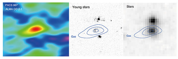 図2: 図2左図：アルマ望遠鏡で得られた PACS-867 銀河における一酸化炭素ガスの分布図。星形成の行われている外へも分子ガスのかたまりが分布している。図2中央の図：ハッブル望遠鏡の高性能カメラ ACS を用い得られた PACS-867 銀河の画像。銀河の合体の結果、大きくかき乱された構成物中に存在する若い星からの紫外線を示す。左図のガス分子の位置 (青の等高線) とダストに包まれ新しい星が作られている領域が重なる。図2右図：スピッツァー望遠鏡で得られた PACS-867 銀河の赤外画像 (3.6ミクロン) 。ダストにつつまれた星と分子ガスとの関連を示す。Left image credit: ALMA (ESO/NAOJ/NRAO), J. Silverman (Kavli IPMU),  Center image credit: NASA/ESA Hubble Space Telescope, ALMA  (ESO/NAOJ/NRAO), J. Silverman (Kavli IPMU), Right image  credit:NASA/Spitzer Space Telescope, ALMA (ESO/NAOJ/NRAO), J. Silverman  (Kavli IPMU)