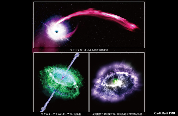 速達【鉢ごと発送】活着済み 星空 オリジナルTC ぶつぶつ系 マジカル 