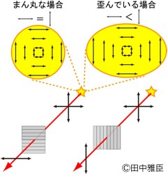 光の「偏り」