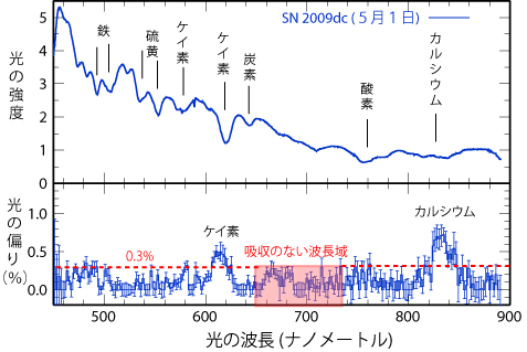 SN 2009dcのスペクトル（波長ごとの光の強度）と、 それぞれの波長における光の偏りの度合い