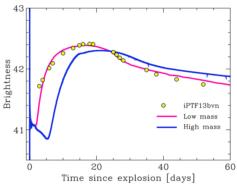 Light curve of hydrodynamical modeling of iPTF13bvn (Solid red line: 4 solar mass, Solid blue line: 8 solar mass) and observations (dots). Brightness is shown in log of erg/s. Low mass model gives good representation of the observation.&emsp;