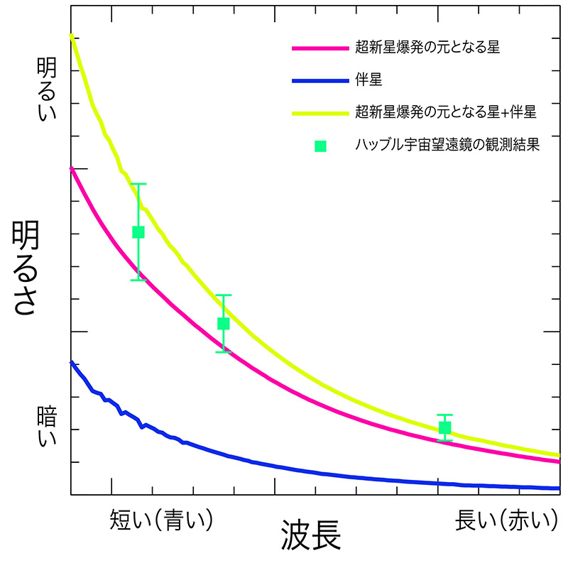 図 4:  理論計算による連星系をなしている場合の星のスペクトルと、ハッブル宇宙望遠鏡の観 測結果(カオら,  2013)との比較を示した図。理論計算のスペクトルは、超新星爆発の元とな る星のスペクトルと、理論計算した伴星のスペクトル(クルツ,  1993)を足したもので、観測 結果とよく一致する。