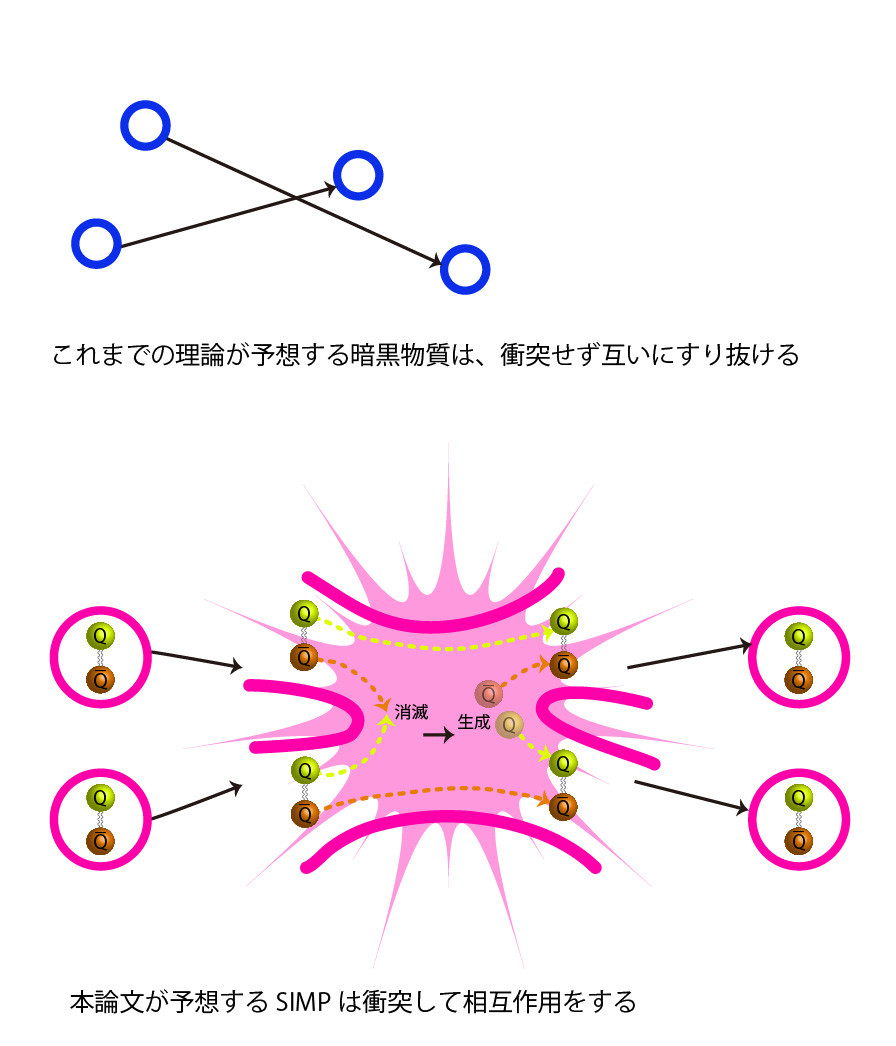 【図2】図2上の今までのダークマターの理論では、ダークマター同士は互いをすり抜け反応しないと考えられていた。図2下の SIMP 粒子は、パイ中間子が相互作用するのと同種の強い相互作用をする。 (Credit: Kavli IPMU)