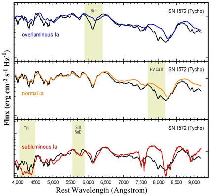 Figure3: The spectrum of Tycho&rsquo;s supernova which was obtained by FOCAS on Subaru Telescope (the horizontal axis is the rest wavelength and vertical axis is flux). Black solid lines show the spectrum of Tycho&rsquo;s SN1572. Comparison of the spectrum of Tycho&rsquo;s supernova (black solid lines) with templates of subluminous, normal and overluminous type Ia supernova (upper: overluminous (blue), middle: normal (orange), bottom: subluminous (red)). The agreement between the black and orange lines indicates that the Tycho&rsquo;s supernova belongs to the majority class of normal Type Ia.