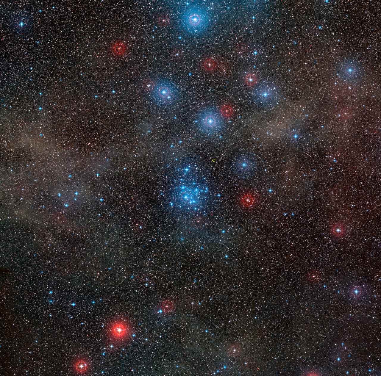 図2: ほ座内の散開星団NGC2547(注3)。ヨーロッパ南天天文台 (ESO) によって撮影された。クレジット:  ESO/Digitized Sky Survey 2/Kavli  IPMU