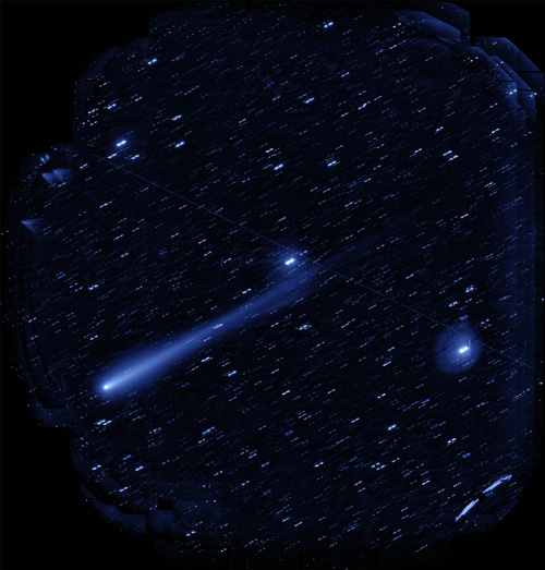 図１: HSC で撮影されたアイソン彗星 (C/2012 S1)。ハワイ現地時間2013年11月5日の明け方 (日本時間11月5日23時～24時頃) 撮影、観測波長は 760 ナノメートル (i バンド)。視野の直径が 1.5 度角。(クレジット：HSC Project / 国立天文台)