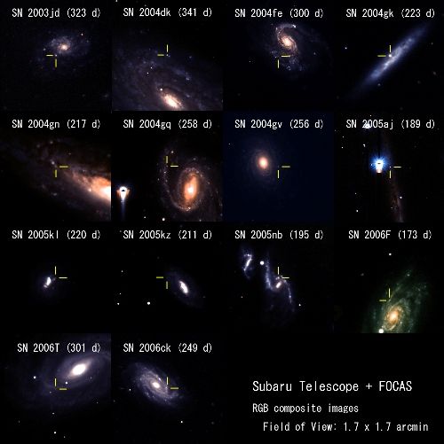 Fig. 3 : Supernova Samples