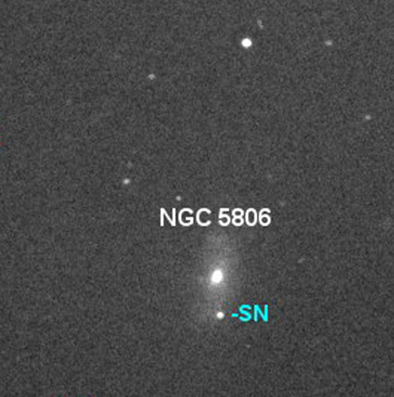 図 1: 渦状銀河 NGC5806 付近で観測された超新星  iPTF13bvn (Image Credit: Jean Marie  Llapasset)
