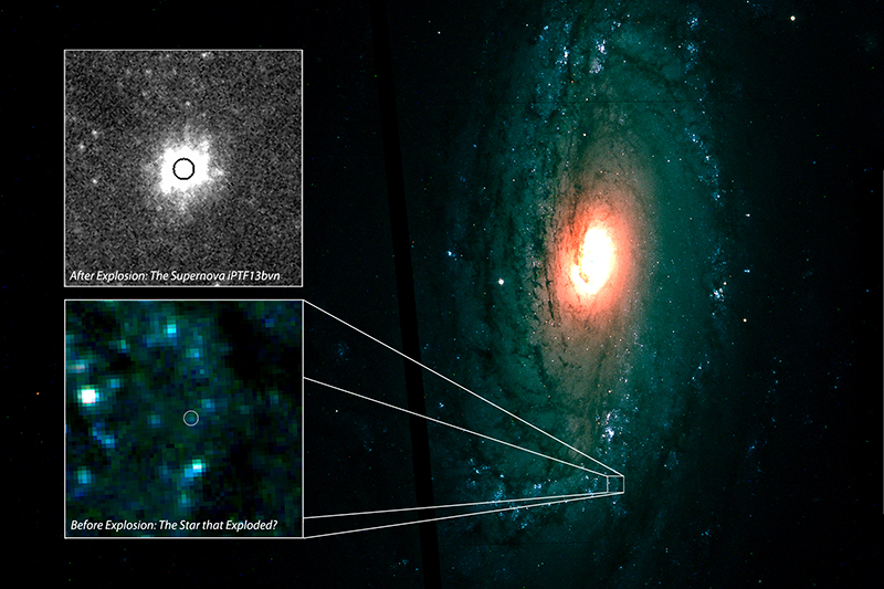 Right: Spiral galaxy NGC5806 Left top: Zoomed image of supernova iPTF13bvn just after the explosion. Left bottom: HST image taken before the explosion. Progenitor of iPTF13bvn was identified. （Image Credit: Iair Arcavi, Weizmann Institute of Science, PTF,