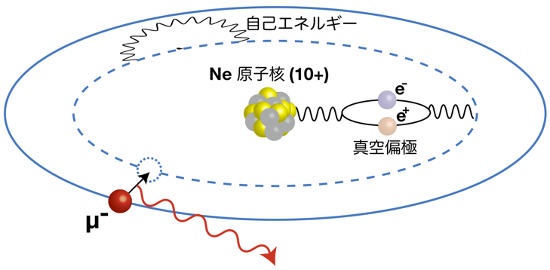 ミュオン原子と量子電磁力学（QED）効果を示す概念図