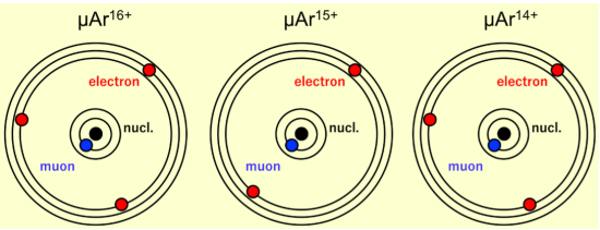fig1