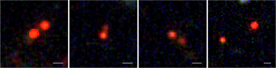 fig1