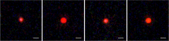 fig2