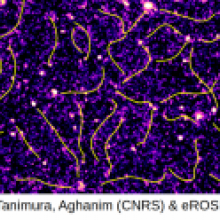 Filaments of the cosmic web shine in the X-rays in the early eROSITA survey data Filaments of the cosmic web shine in the X-rays in the early eROSITA survey data