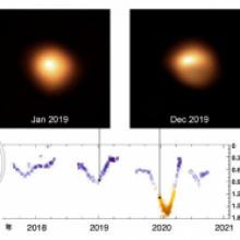 ベテルギウスはまだ爆発しない -減光の原因を探り恒星の質量、サイズ、距離を改訂-