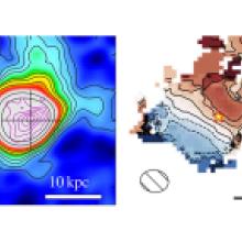 fig1