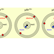 fig1