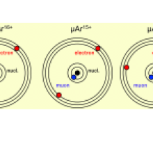 fig1
