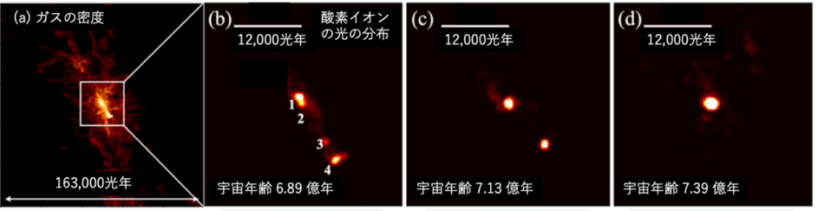 銀河形成シミュレーションによる本天体の成⻑の予想