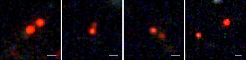fig1