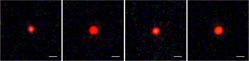 fig2